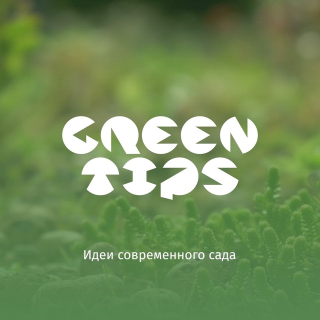 Avatar Green Tips - дизайн современного сада