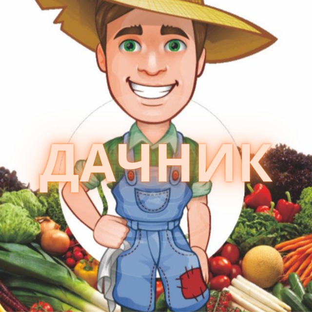 Avatar ДАЧНИК