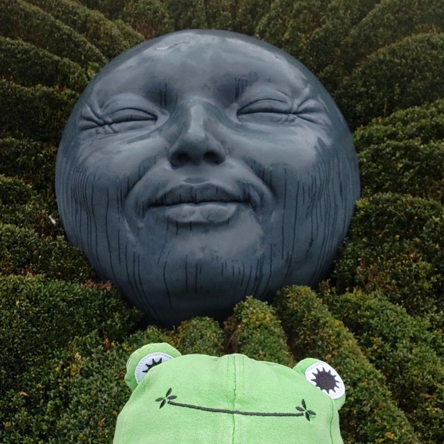 Avatar Alexey_solovei