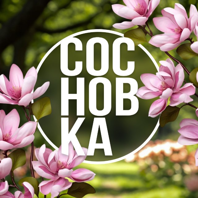 Avatar 🌿 Институт СосновКа
