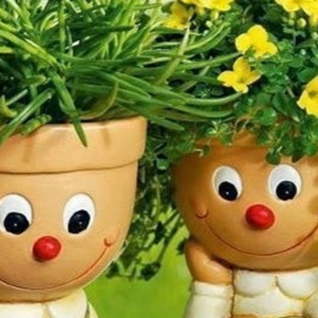 Avatar 🌺Цветы Мира🌺