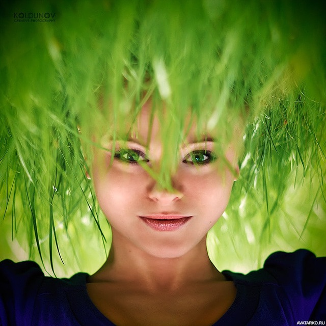 Avatar ЗЕЛЕНЫЙ ДОМ| цветы и растения