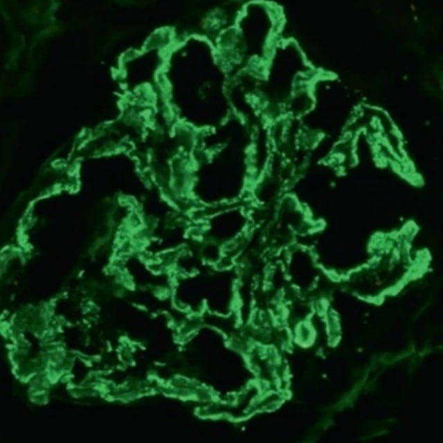 Avatar Очерки внутренних болезней