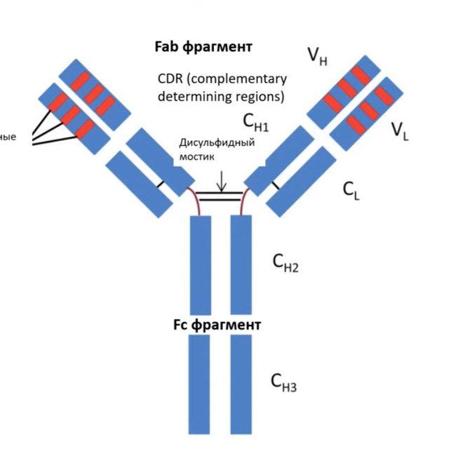 Avatar Oncolitatuzumab