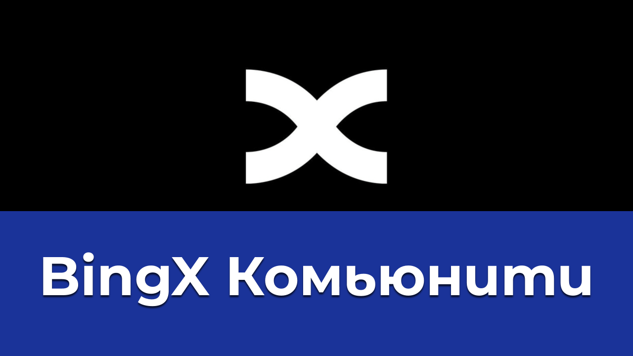 BingX Комьюнити